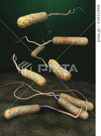cholera pathogens in dark polluted water 42632948