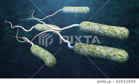 cholera pathogens in dark polluted water cholera pathogens in dark polluted water 42632949