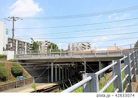 神奈川県大和市　つきみ野駅　駅ホーム 42633074