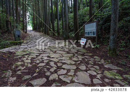 （静岡県）箱根旧街道石畳の道　山中城址公園付近 42633078