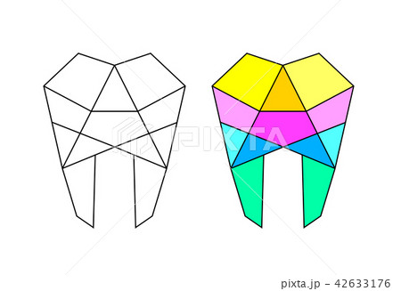 Human tooth line art,  42633176