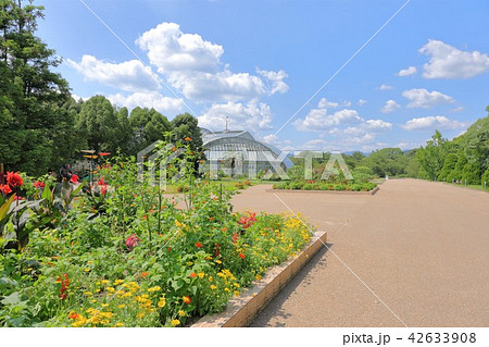 京都府立植物園の写真素材