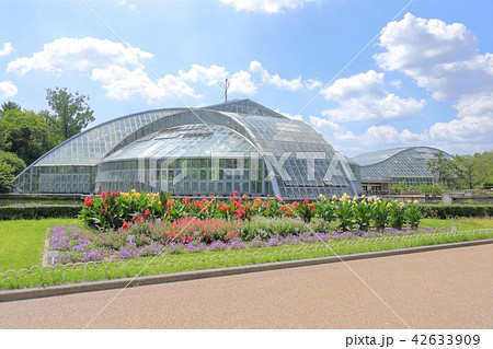京都府立植物園 京都府立植物園 42633909