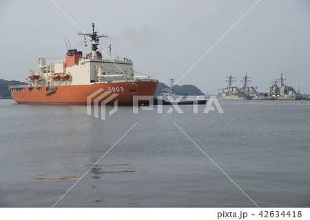 南極観測船 「しらせ」5003 【夏】 横須賀 42634418