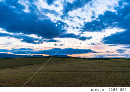 《北海道》美瑛の丘・夕景田園風景 《北海道》美瑛の丘・夕景田園風景 42634865