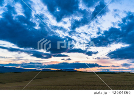 《北海道》美瑛の丘・夕景田園風景 《北海道》美瑛の丘・夕景田園風景 42634866