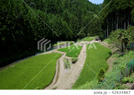 紀伊山地　里山風景 42634867