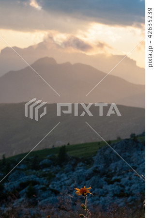 Sunset at the Passo di Giau, in the Italian Dolomites Sunset at the Passo di Giau, in the Italian Dolomites 42635239