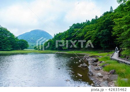 栃木県那須塩原　大沼園地　大沼（7月） 42635462