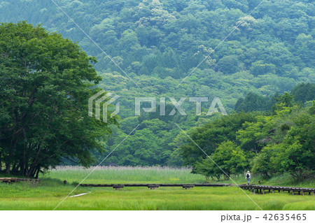 栃木県那須塩原 大沼園地 大沼(7月) 栃木県那須塩原 大沼園地 大沼(7月) 42635465