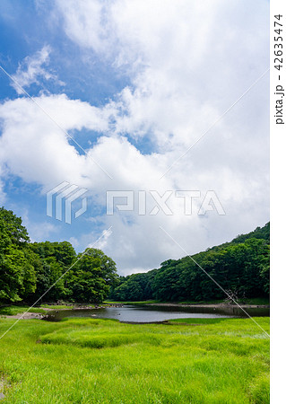 栃木県那須塩原 大沼園地 大沼(7月) 栃木県那須塩原 大沼園地 大沼(7月) 42635474