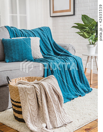 sofa with blue plaid interior window 42635539