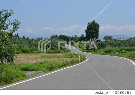 夏の弘前郊外の道路 夏の弘前郊外の道路 42636265
