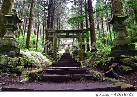上色見熊野座神社の写真素材