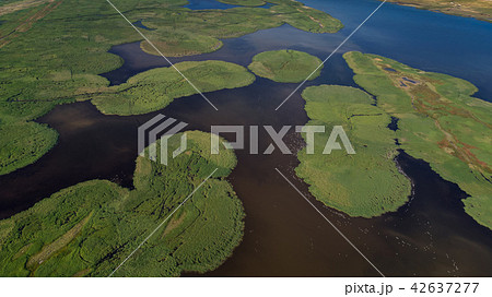 Danube Delta, Romania 42637277