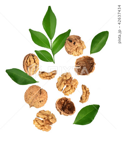 Top view of walnut isolated on white background Top view of walnut isolated on white background 42637434