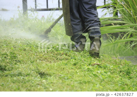 草刈り作業の男性 夏 草刈り作業の男性 夏 42637827