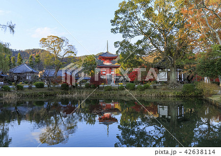 京都・秋の大覚寺・心経宝塔 京都・秋の大覚寺・心経宝塔 42638114