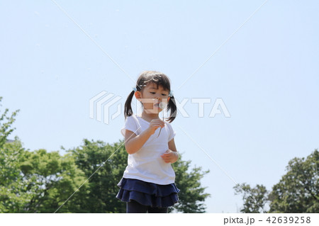タンポポを吹く幼児(3歳児)と青空 42639258