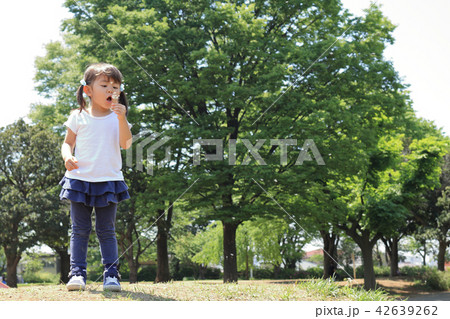 タンポポを吹く幼児(3歳児)と青空 42639262