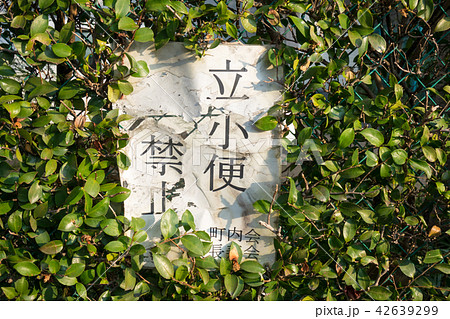 立小便禁止の看板 42639299