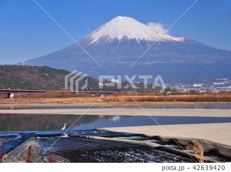 富士川と富士山-6104 42639420