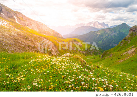 Landscape of Dolomites 42639601