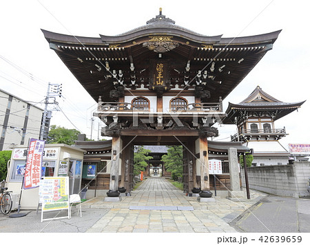 萬満寺(まんまんじ)の山門 千葉県松戸市 萬満寺(まんまんじ)の山門 千葉県松戸市 42639659