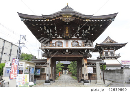 萬満寺(まんまんじ)の山門 千葉県松戸市 萬満寺(まんまんじ)の山門 千葉県松戸市 42639660