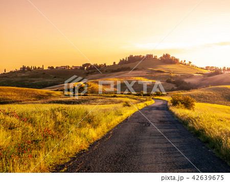 Evening landscape of Tuscany with curvy aspalt road, Italy 42639675