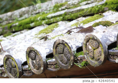多田神社築地塀の瓦 多田神社築地塀の瓦 42640541