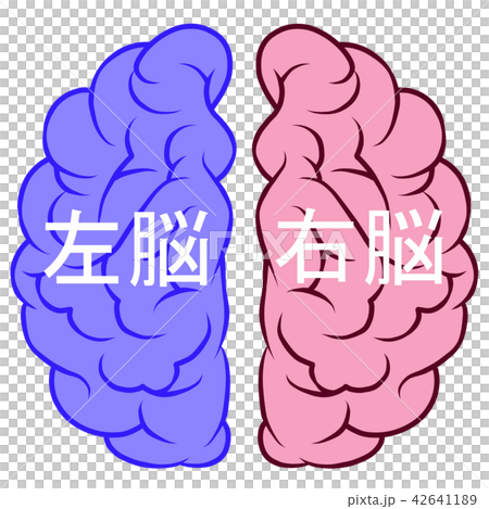 Right brain and left brain 42641189