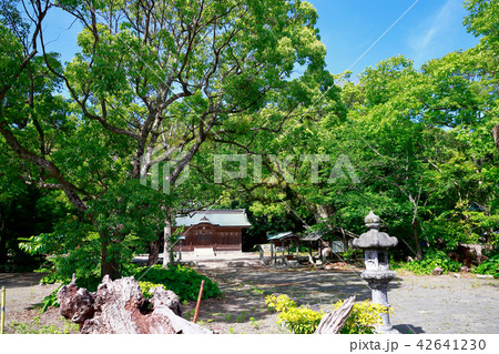 御田八幡宮 御田八幡宮 42641230