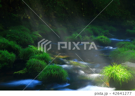 夏の元滝伏流水 夏の元滝伏流水 42641277