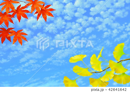 秋の空にもみじとイチョウのイラスト素材