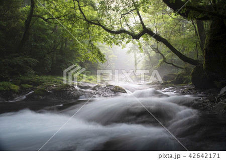風景 風景 42642171