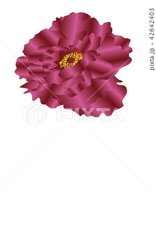 都道府県の花シンプル島根ボタンのイラスト素材