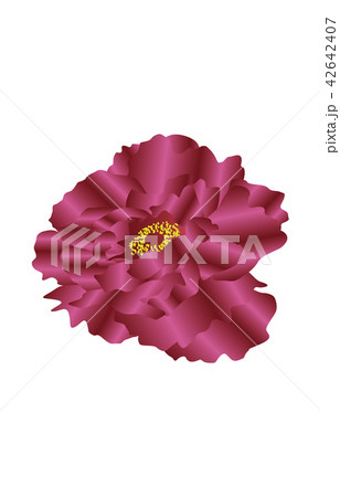 都道府県の花シンプル島根ボタンのイラスト素材