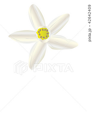 都道府県の花シンプル徳島スダチのイラスト素材