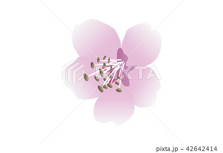 都道府県の花シンプル東京ソメイヨシノのイラスト素材