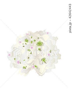 都道府県の花シンプル福島ネモトシャクナゲ 42642443