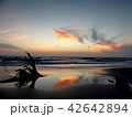 自然 天然 ナチュラル 42642894