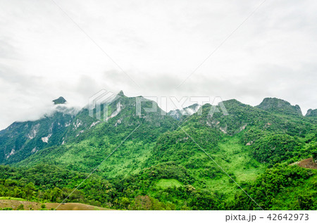 Doi Luang Chiang Dao with rain fog 42642973