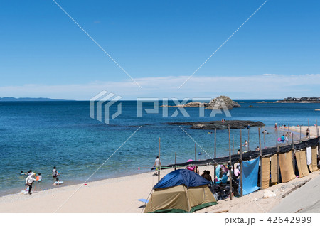 海水浴の景色 新潟県 海水浴の景色 新潟県 42642999