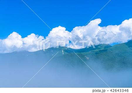 《北海道》夏の知床・知床連山 42643346