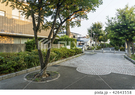 烏山川緑道 42643558