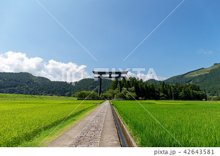 熊野本宮大社　(8月　和歌山県　晴れ) 42643581