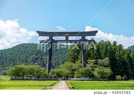 熊野本宮大社　(8月　和歌山県　晴れ) 42643583