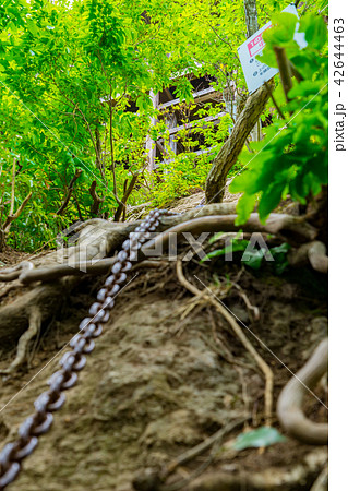三徳山、投入堂へと続く道(鳥取県東伯郡三朝町三徳)※作品コメント欄に撮影位置あり 三徳山、投入堂へと続く道(鳥取県東伯郡三朝町三徳)※作品コメント欄に撮影位置あり 42644463