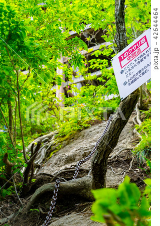 三徳山、投入堂へと続く道(鳥取県東伯郡三朝町三徳)※作品コメント欄に撮影位置あり 三徳山、投入堂へと続く道(鳥取県東伯郡三朝町三徳)※作品コメント欄に撮影位置あり 42644464